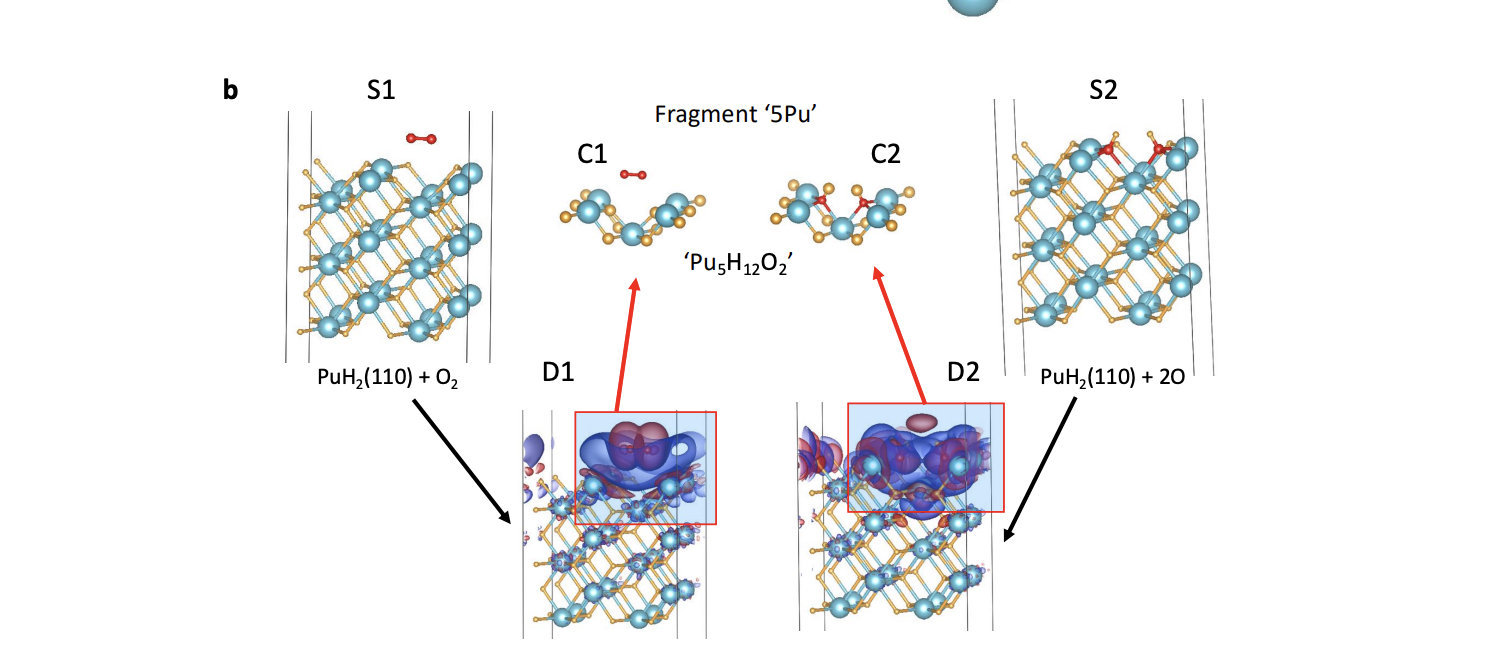 Quantum Simulation of Actinide Chemistry Achieves Scalable Algorithms on Trapped Ion Quantum Computers with 19 Qubits
