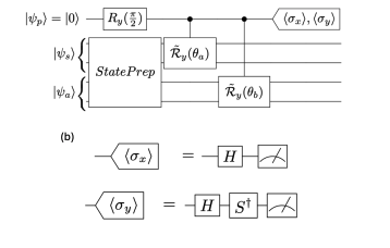 Optimized Quantum Circuit Measures Quantized Uhlmann Phase in Spin-1 Systems