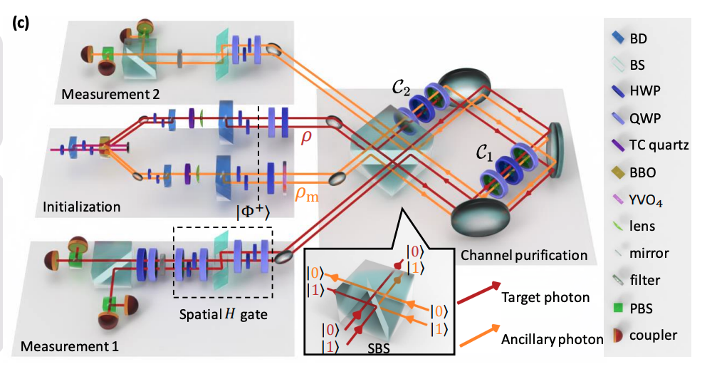 Experimental Quantum Channel Purification Achieves Noise Suppression Via Coherent Interference
