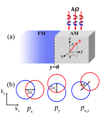 Unconventional Magnet Junctions Exhibit Tunable Exceptional Points with Unique Symmetries