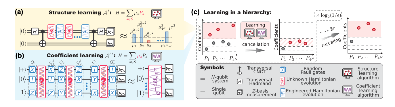 Quantum Algorithm Achieves Heisenberg Limit in Hamiltonian Learning