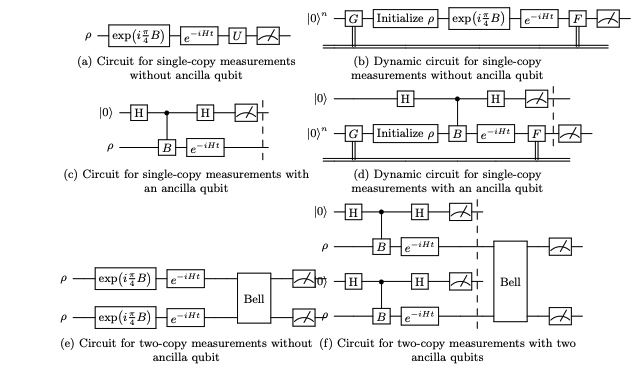 Fermionic-Adapted Shadow Tomography Efficiently Calculates Multiple Dynamical Correlation Functions