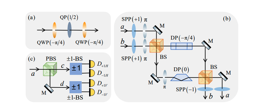 Bell State Analysis Using Orbital Angular Momentum Achieves 100% Success Probability