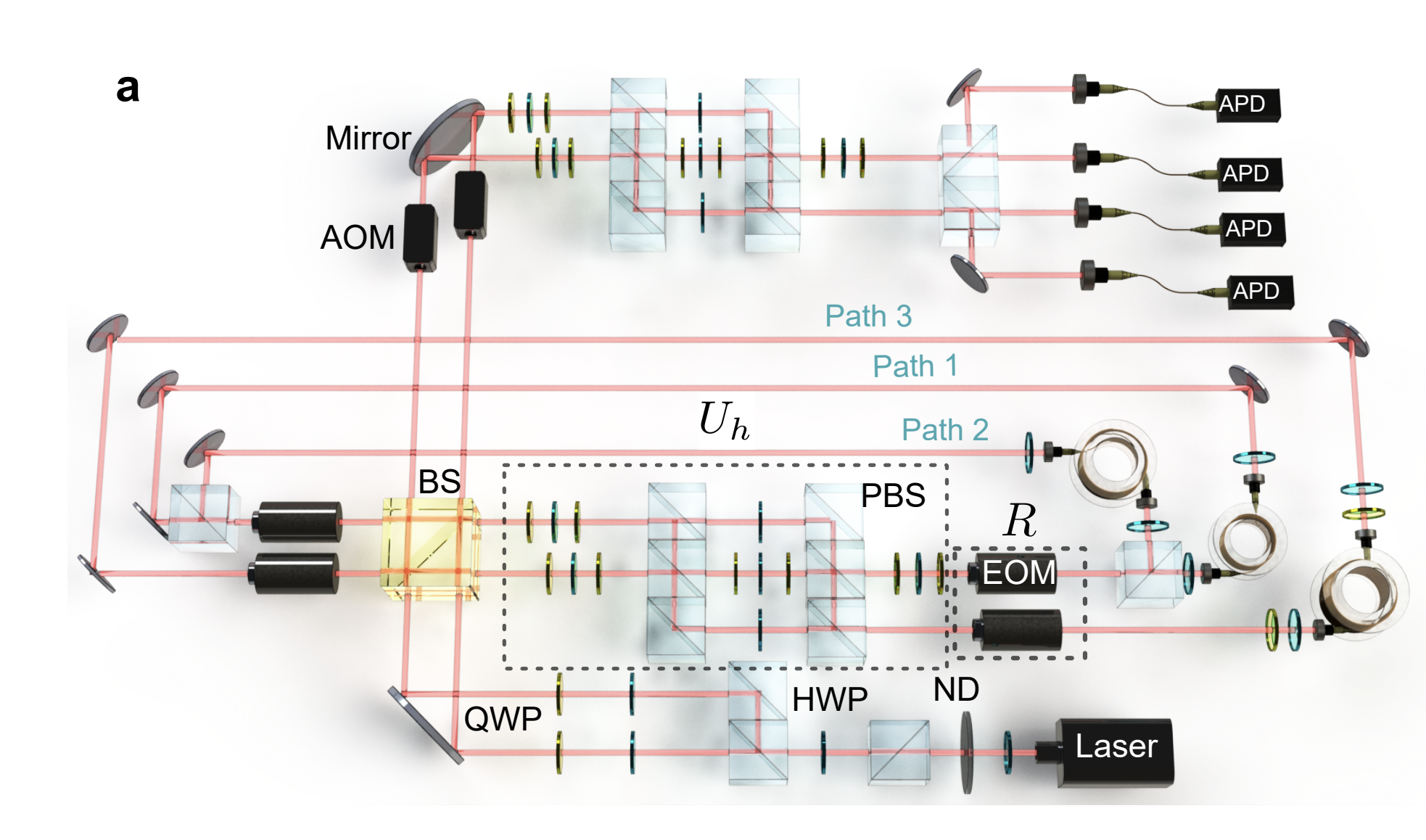 Photonic Walk Demonstrates Bulk-Boundary Correspondence in Floquet Non-Abelian Topological Insulators