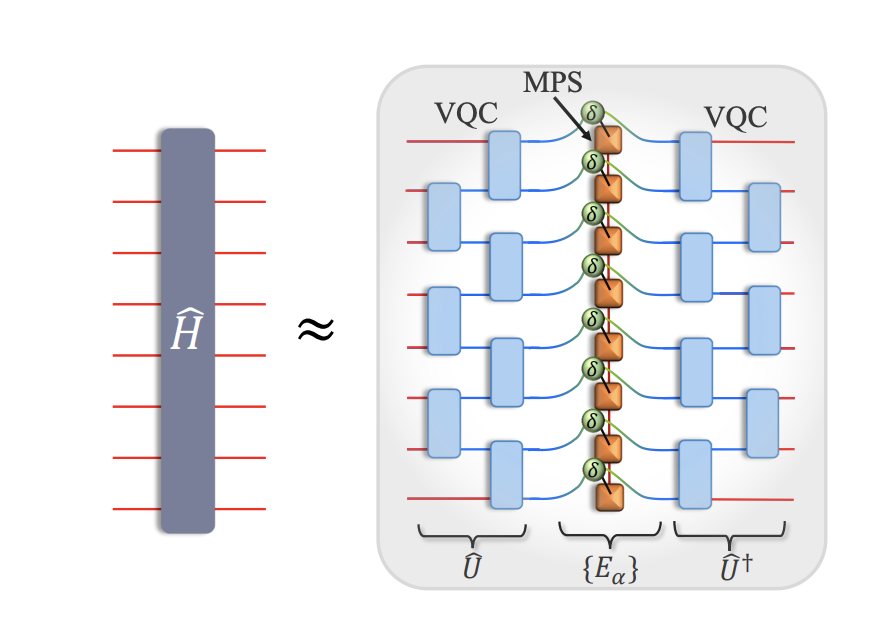 Tensor Network Variational Diagonalization Scales Computationally Beyond Exact Diagonalization Limits