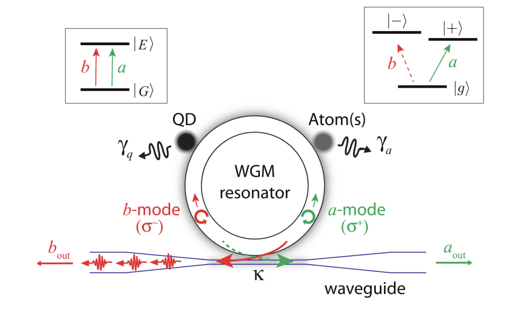 Photon Directionality in Emitter Systems Indicates Concurrence and Correlation Strength