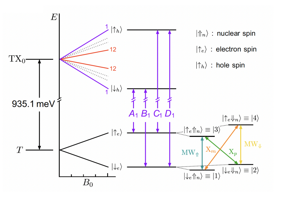 Photon Feedback Boosts Fidelity of Silicon T Center Quantum Gates