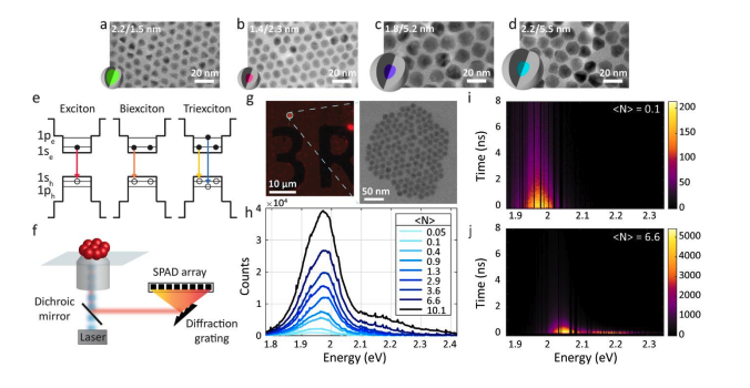 Time-Gated Spectroscopy Reveals Exciton Interactions in Quantum Dot Ensembles
