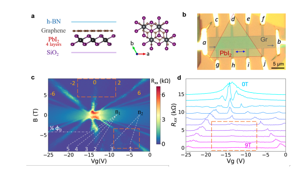 Moiré PbI2 Heterostructure Exhibits Fractional Quantum Hall Effect and Chern Junctions