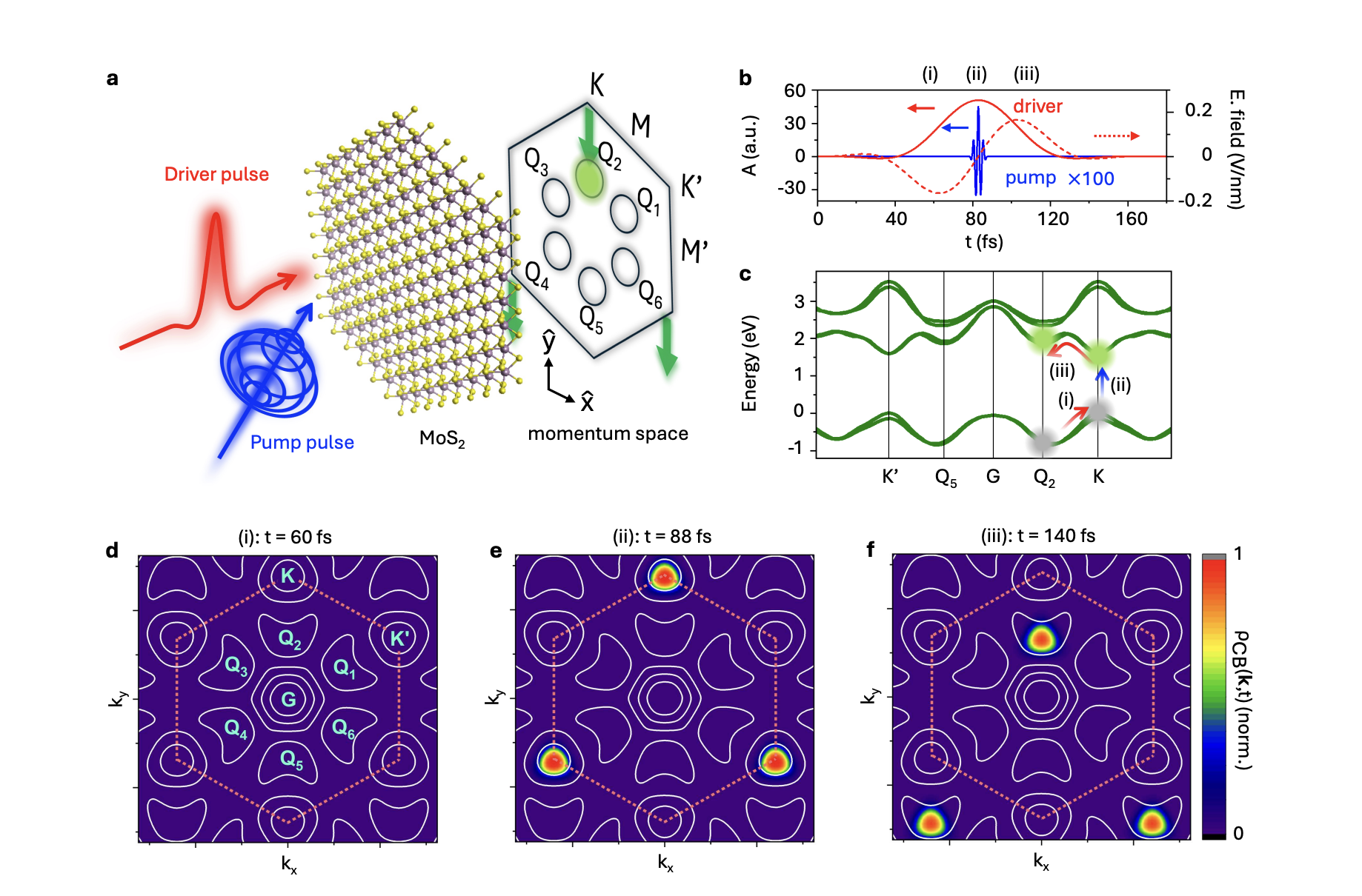 Coherent Light Pulses Enable Deterministic Excitation of Hidden Valleys in Monolayer TMDs
