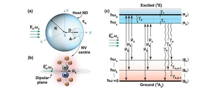 Nanodiamond Embedding Alters Nitrogen-Vacancy Centre Fluorescence and Optical Behaviour