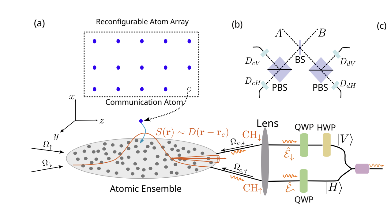 Atomic Ensembles as Quantum Antennas Enhance Remote Entanglement Generation Efficiency