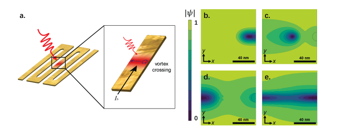 Vortex Crossing Theory Predicts Performance of Superconducting Nanowire Single Photon Detectors