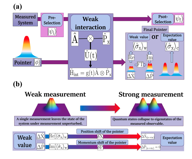 Post-Selection Framework Controls Non-Classical States for Enhanced Quantum Metrology