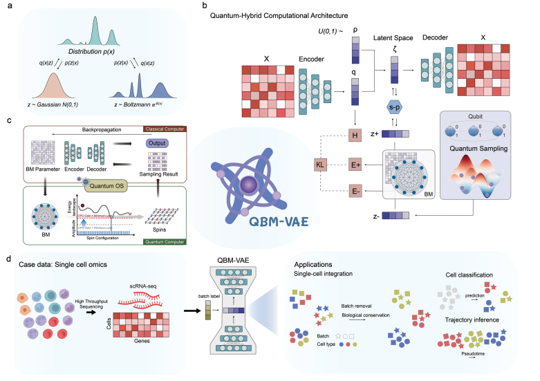 Quantum Boltzmann-Variational Autoencoder Improves Deep Generative Modelling of Complex Data