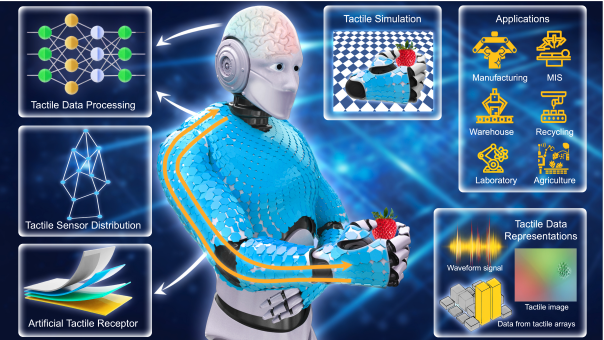 Simulation Tools Advance Distributed Tactile Sensing for Robotic Physical Interaction