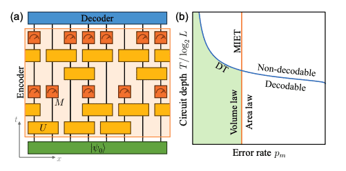 Decodable Volume-Law Phase Enables Logarithmic Information Retrieval in Clifford Circuits
