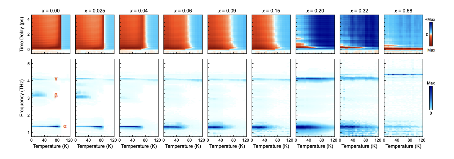 Kagome Superconductors: Charge Order Survives Beyond Limits