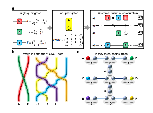 Majorana Quantum Leap: Scientists Achieve 99.2% Fidelity Gate
