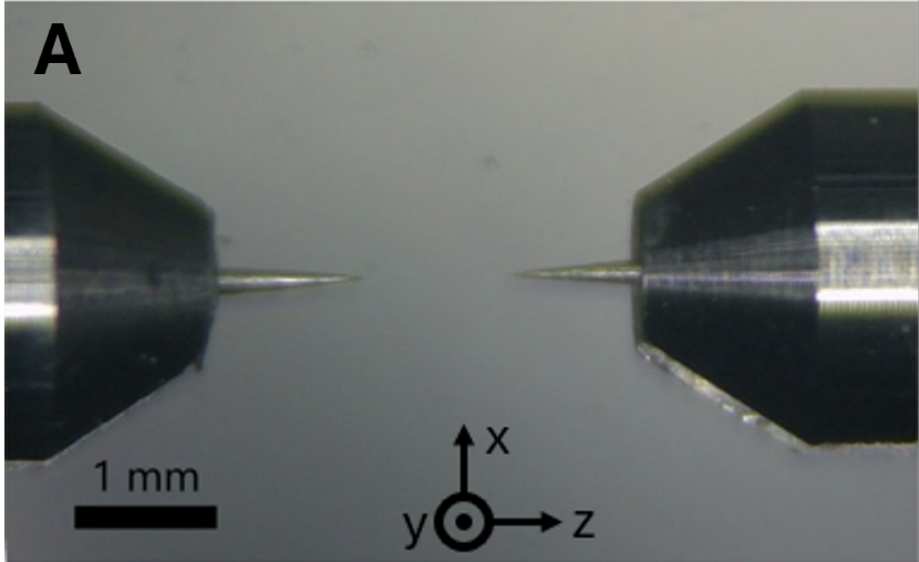 Nanodiamonds Unlock Quantum Gravity Tests