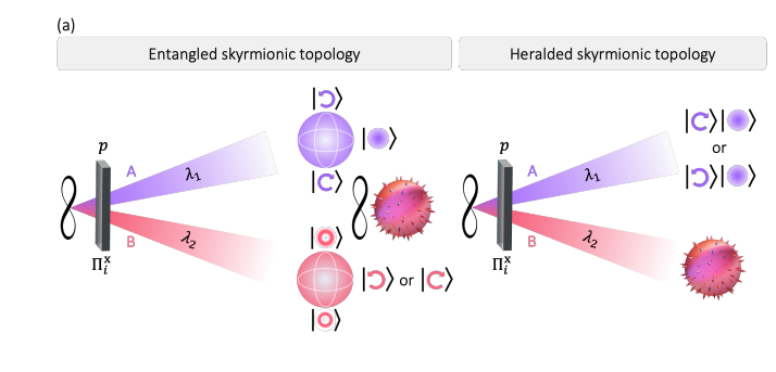 Electrically Tunable Liquid Crystals Generate Dual-Wavelength Skyrmions and Single-Photon States
