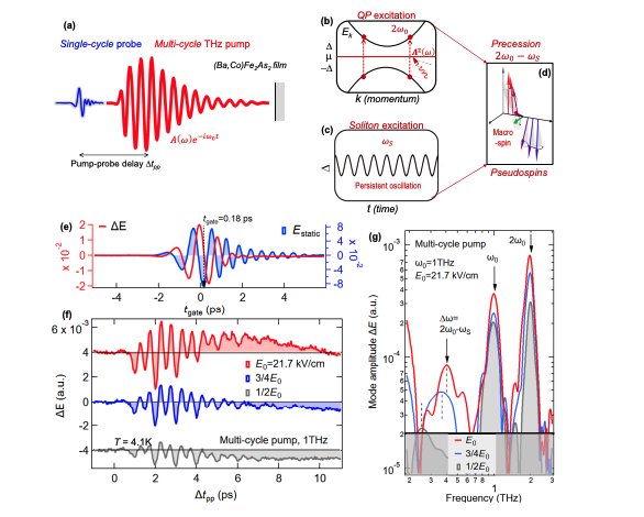 Terahertz Driving Induces Stabilized Soliton State in Iron-Based Superconductor Film