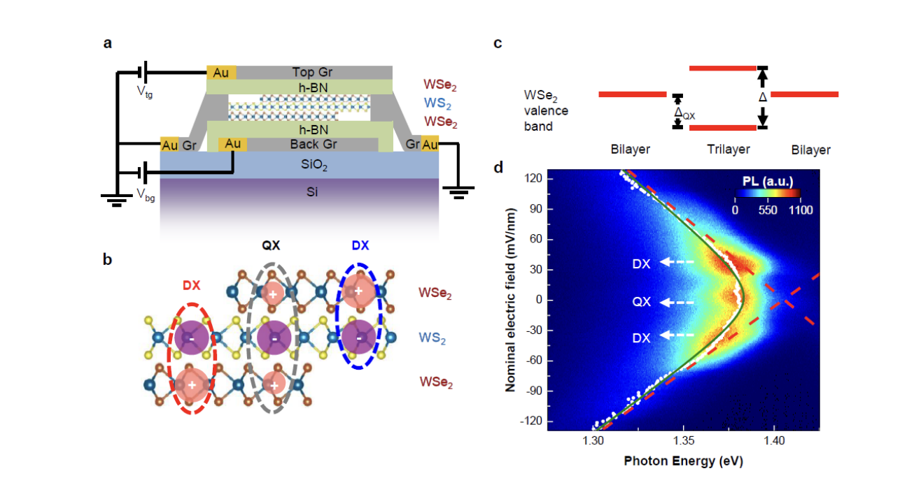 Researchers unlock novel excitonic phases in trilayer moiré superlattices with strong interactions