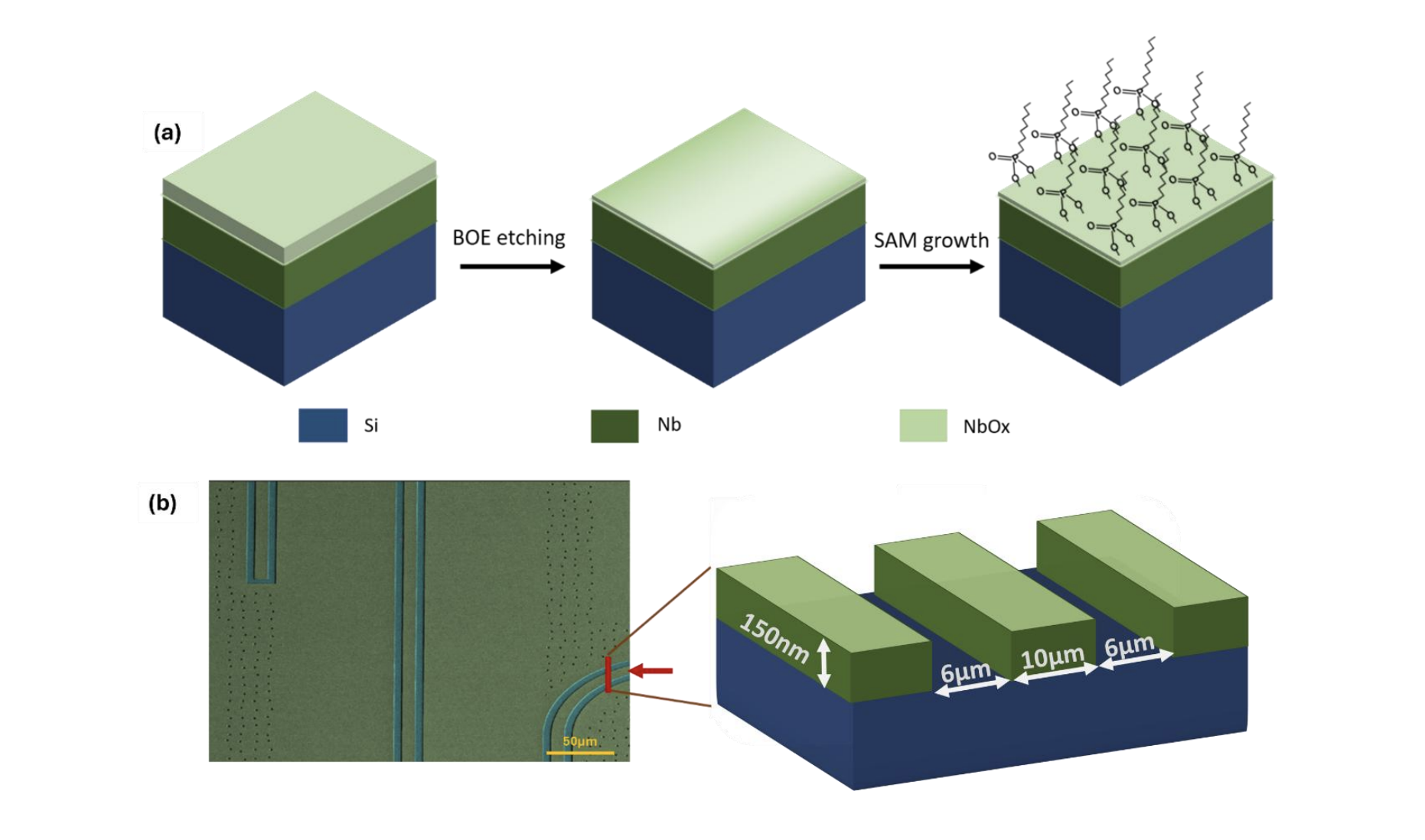 Researchers suppress oxide regrowth and achieve stable coherence with 80% loss reduction