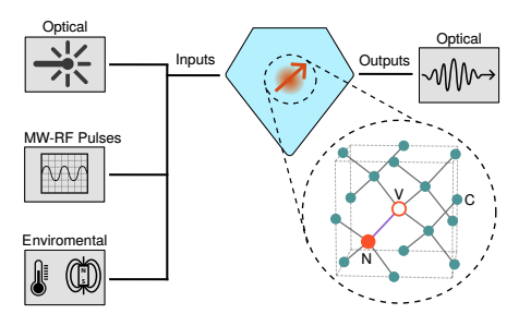 Python Software Models Nitrogen-Vacancy Centre Dynamics for Quantum Technology Advancement