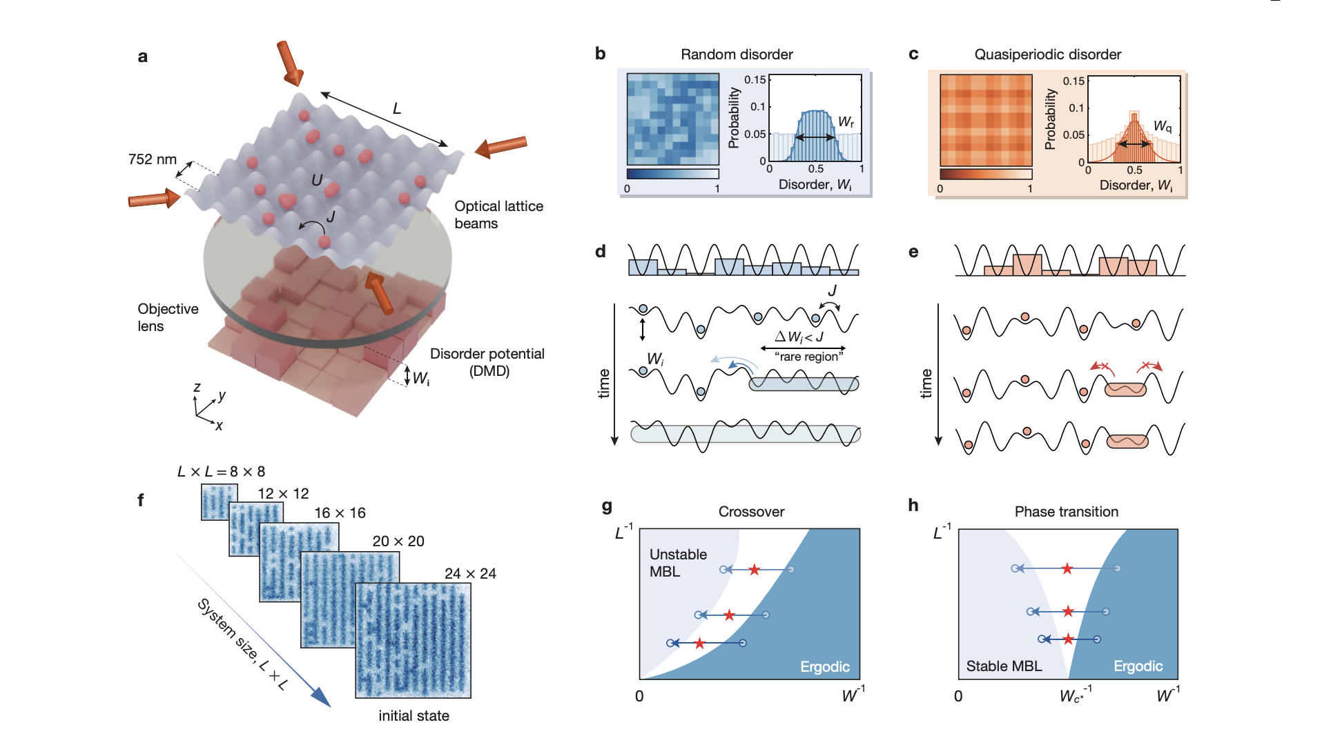 Researchers demonstrate many-body localization stability in 2D systems up to sites with ultracold atoms