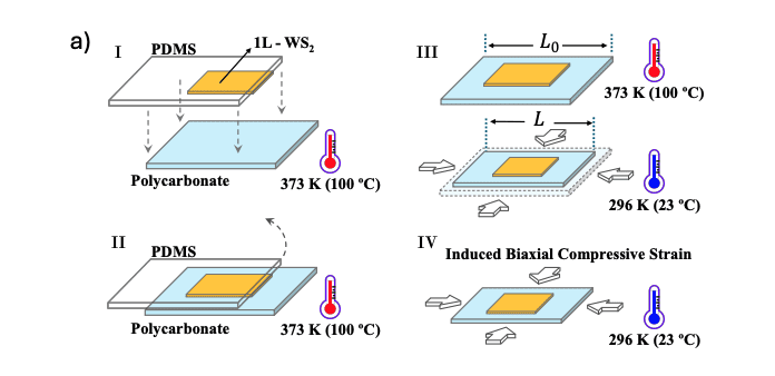 Pre-Straining Induces Large Compressive Strain in Two-Dimensional Tungsten Disulfide