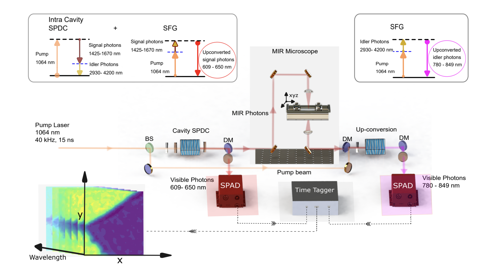 Researchers Develop Label-free Hyperspectral Imaging Platform for Biomedical Applications with Single-photon Detection