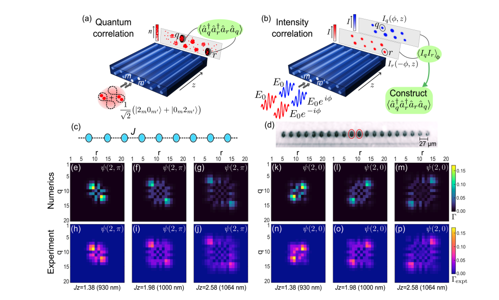 Researchers Observe Photon Localization in Rhombic Lattices with Probability of for Even Photon Numbers