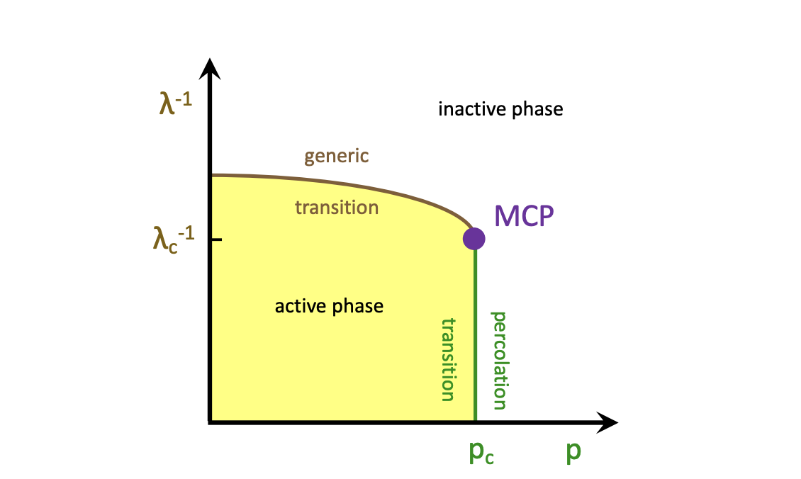 Researchers Reveal Universal Multicritical Behaviour in Disordered Contact Processes with Activated Scaling