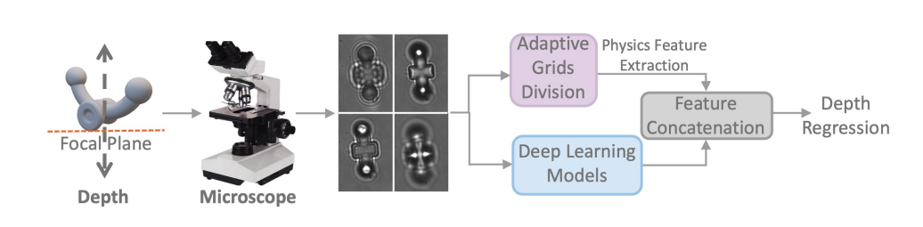 Researchers Achieve 60% More Accurate Microrobot Depth Estimation for Biomedical Applications