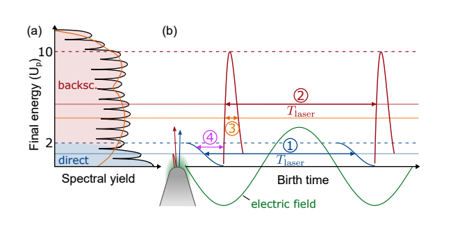 Researchers Reveal Sub-cycle Dynamics in Solids, Uncovering Interference of Electrons with Single-cycle Pulses