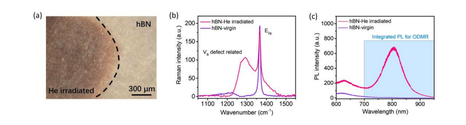 Researchers Achieve Alignment-free Magnetic Field Sensing Using Boron Vacancies in Polycrystalline hBN