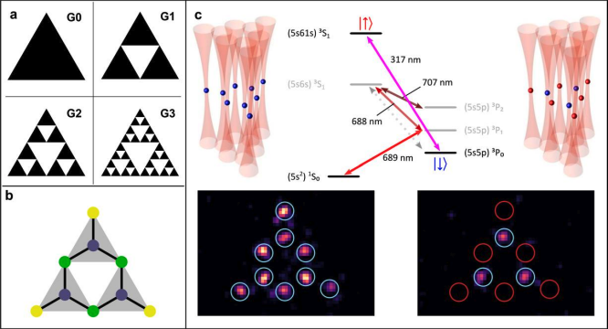Researchers Discover Novel Spin Phases in Fractal Rydberg Atom Lattices