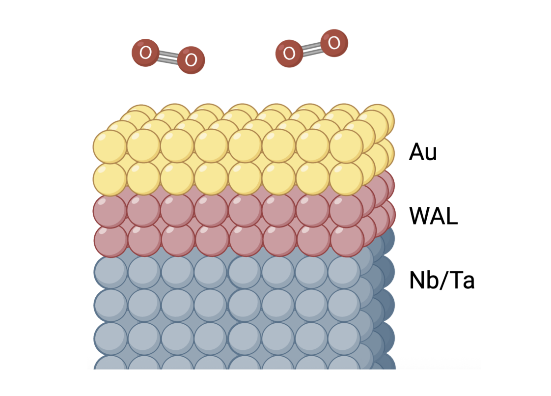 Researchers Unlock Superconductivity in Nanometer-scale Circuits with Novel Passivation Layers for Improved Qubits