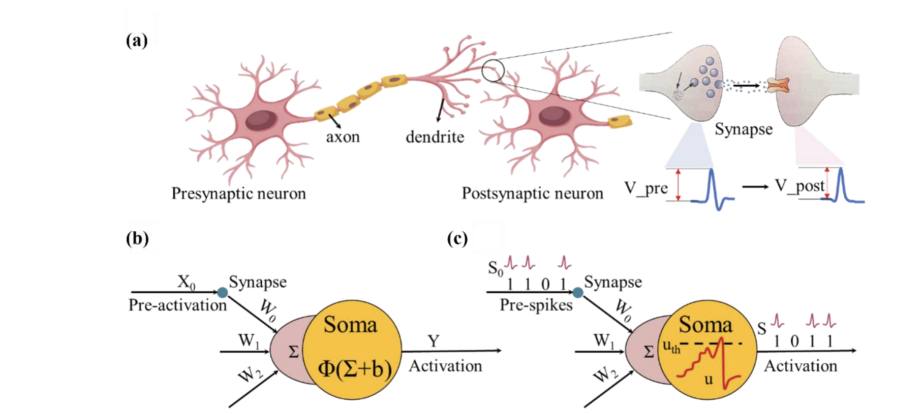 Photonic Computing Overcomes Power Bottlenecks in Artificial Intelligence and Large Models