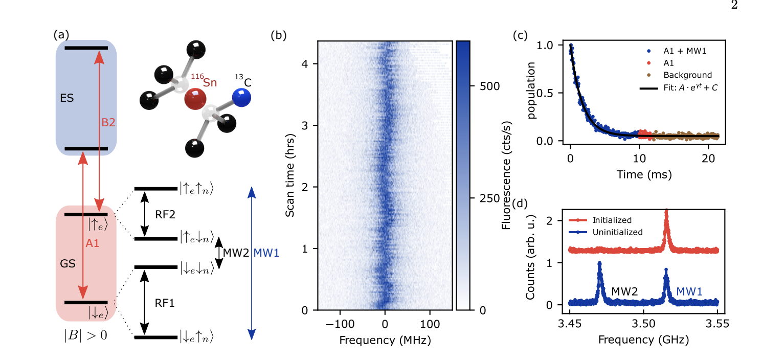 Diamond Defects Achieve Fidelity, Extending Quantum Memory Coherence to Seconds for Networks