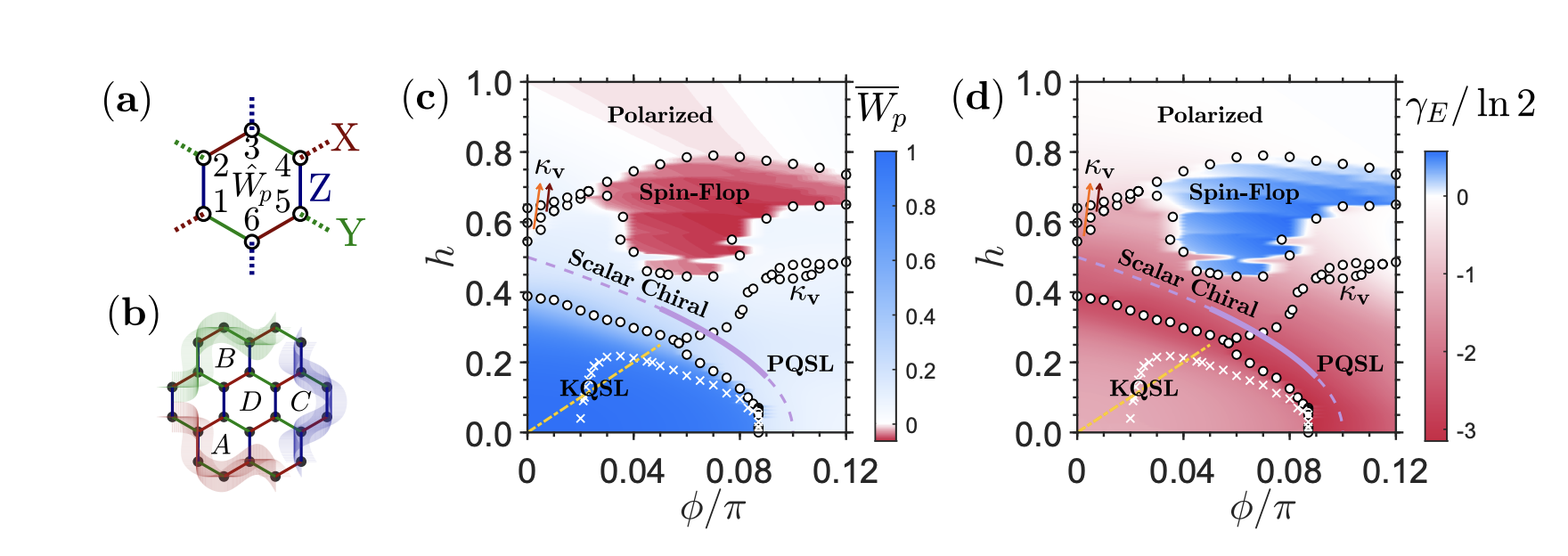 Kitaev Magnets Reveal Multiple Chiral Orders on a 24-Site Cluster in Intermediate Fields