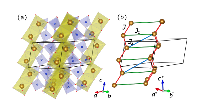 Aegirine Spin Dynamics Revealed: 8.8 and 5.8 K Transitions Drive Novel Magnetic Interactions