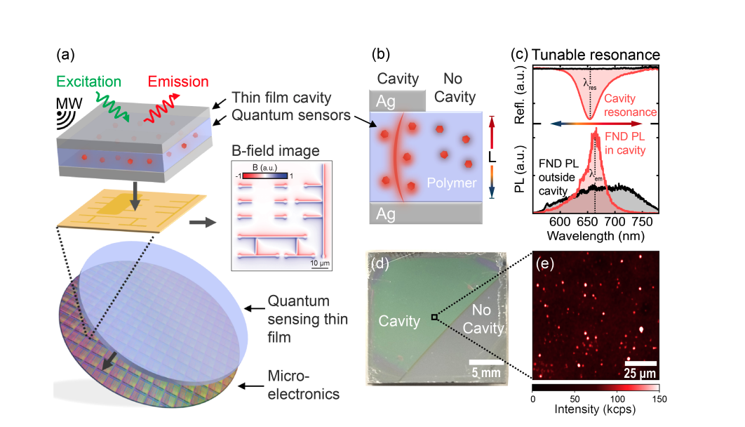 Diamond and hBN Nanoparticles Achieve 2.9-fold Enhanced Photoluminescence in Centimeter-Scale Optical Cavities