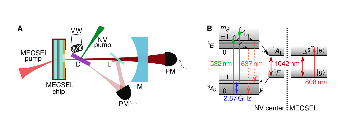Diamond NV Center Magnetometry Achieves 280 T Dynamic Range and 670 fT/√Hz Sensitivity
