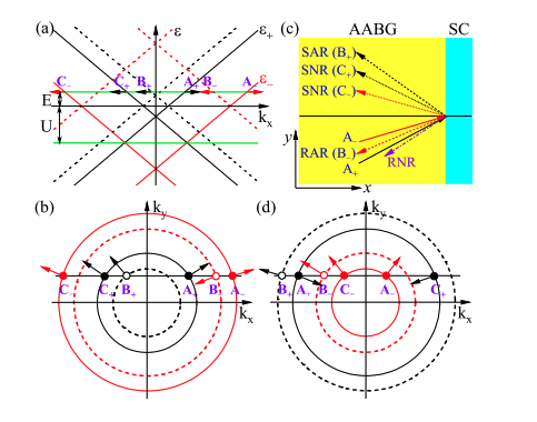 Bilayer Superconductor Junctions Exhibit Double Andreev Reflection and Normal Reflection Between Two Cones