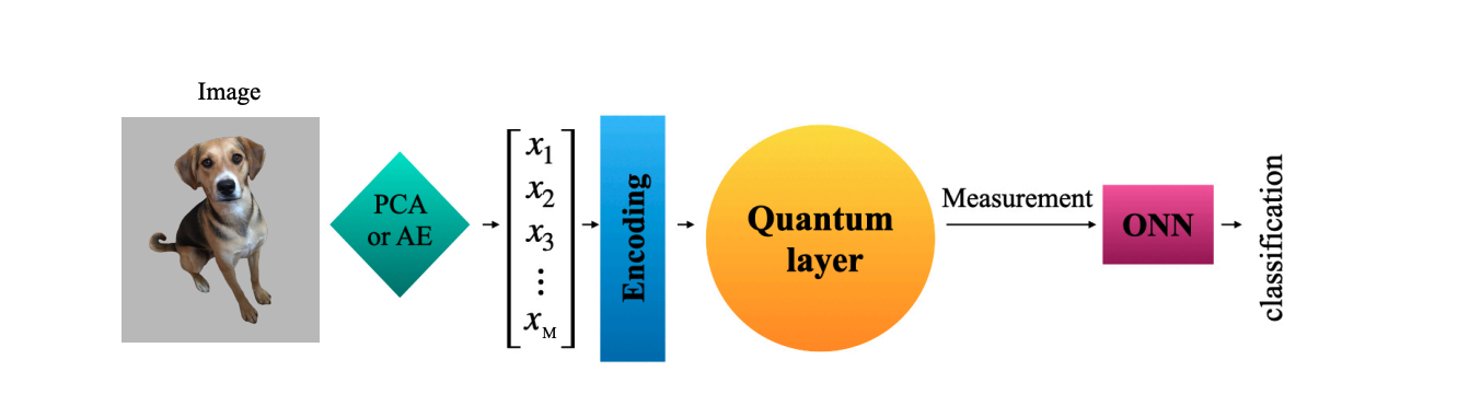 Quantum Extreme Learning Machines Achieve High Accuracy Via Evolution and Dimensionality Reduction