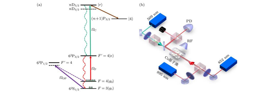Rydberg Atom Scheme Enhances 4 GHz Microwave Sensing Bandwidth and Coherence
