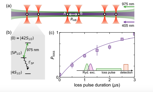 Rydberg Atom Study Reveals Interaction-Enhanced Decay and Configuration-Selective Two-Zeno Effect