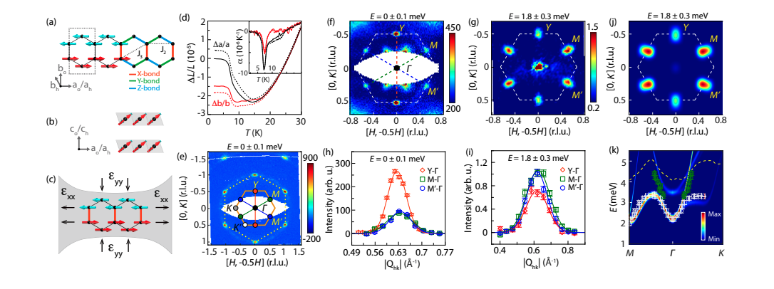 Rucl Honeycomb Magnet Reveals Anisotropic Spin Interactions and Refined Exchange Couplings